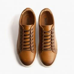 Thursday Boots - Women's Sneakers Women's Premier Low Top | Toffee